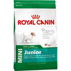 Royal Canin Mini Junior 4kg