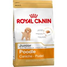 Royal canin puppy torrfoder Royal Canin Pudel Junior 3kg