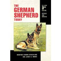 german shepherd today