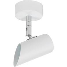 Belid S6308 Tyson Spotlight