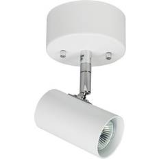 Belid S6821 Tyson Spotlight