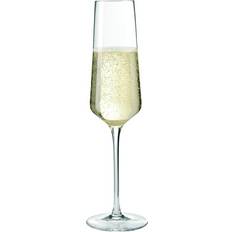 Leonardo puccini Leonardo Puccini Champagneglas 28cl 6st