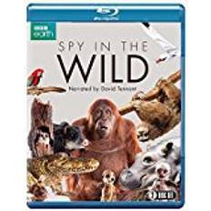 Spy in the Wild (BBC) (2-disc) [Blu-ray]