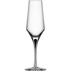 Orrefors metropol Orrefors Metropol Champagneglas 27cl 2st