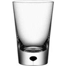 Erika Lagerbielke Tumblers Orrefors Metropol Tumbler 23cl 2pcs