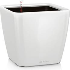 Lechuza Quadro LS Flower Pot Krukke