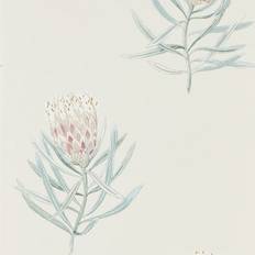 Sanderson Protea Flower - Porcelain/Blush (216330)