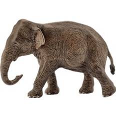 Éléphant Figurines Schleich 14753 Elephant Asie Femelle