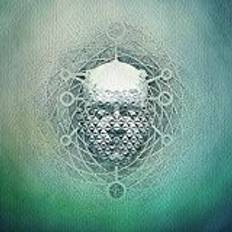 Musik You Are Creating: Limb1 (Vinyl)