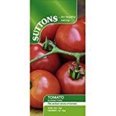 Tomatoes Vegetable Seeds Suttons Tomato Seeds - Summer Frolic 8 Seeds Pack