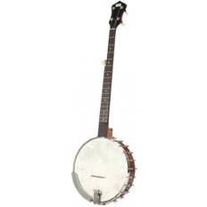 Recording King RK-OT25-BR Songster Banjo