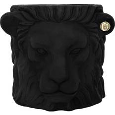 Lion Pot