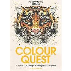 Colour Quest (Paperback, 2016)