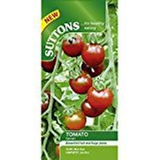 Tomatoes Vegetable Seeds Suttons Tomato Seeds - Garnet 10 Seeds Pack