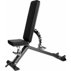 Taurus Weight Bench B900