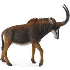 Giant Sable Antelope Female 88578