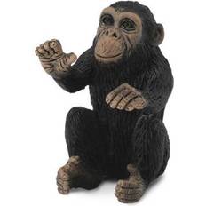 Chimpanzee Cub Hugging 88494