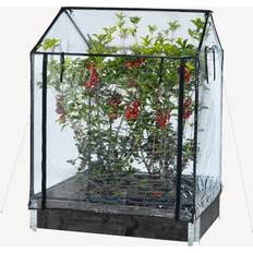 Greenhouse 211-152