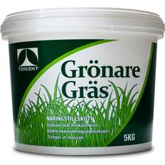 Sammalen Torjunnat Tergent GrönareGräs Plus 5 kg