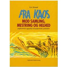 Fra kaos mod samling, mestring og helhed: psykiatrisk sygepleje til psykotiske patienter (Hæftet, 1998)