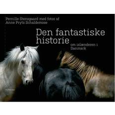 Den fantastiske bog om Den fantastiske historie om islænderen i Danmark (Indbundet, 2011)