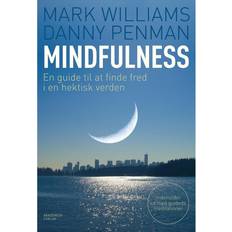 Mindfulness mark williams Mindfulness: en guide til at finde fred i en hektisk verden (Häftad, 2012)