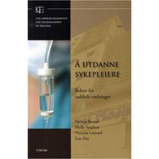 Å Å utdanne sykepleiere (Hæftet, 2010)