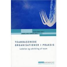 Bøger Teambaserede organisationer i praksis: ledelse og udvikling af team (Hæftet, 2005)