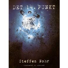 Steffen nohr Det 14. punkt (E-bog, 2016)