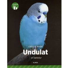 Undulat Undulat: et kæledyr, Hardback (Inbunden, 2016)