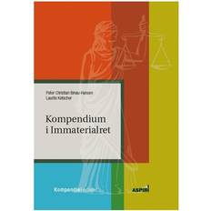 Kompendium i Immaterialret (Hæftet, 2014)