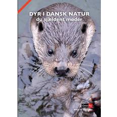 Dyr i dansk natur du sjældent møder (Indbundet, 2014)