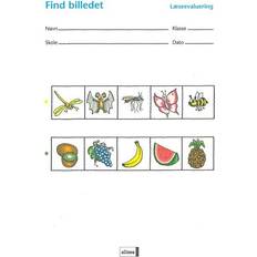 Bøger Find billedet - læseevaluering (Hæftet, 2004)