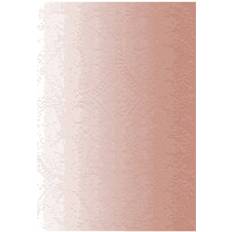 christian lacroix blush a5 8 x 6 ombre paseo notebook (2017)