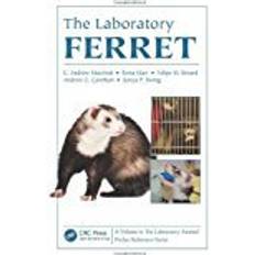 Ferret The Laboratory Ferret