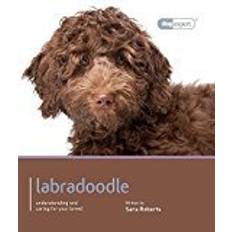 Labradoodle - Dog Expert (Paperback, 2013)