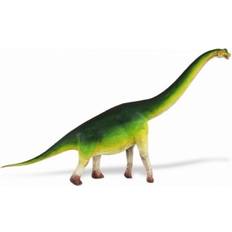 Brachiosaurus 300229