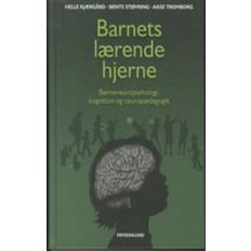 Barnets lærende hjerne: børneneuropsykologi, kognition og neuropædagogik (Indbundet, 2012)