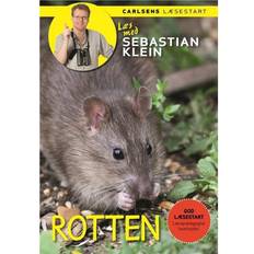 Rotten, Hardback (Indbundet, 2017)