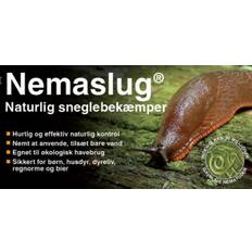 Slug Nemaslug Natural Slug Killer