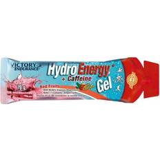 Victory Endurance Hydro Energy + Caffeine Gel Red Fruit 70g 1 pcs