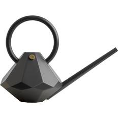 Diamond Watering Can