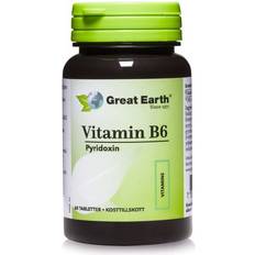 B6 vitaminer Great Earth Vitamin B6 Pyridoxine 60 st