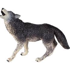 Gray Wolf 273829