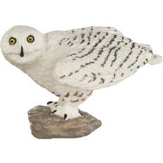 Safari Snowy Owl 264729