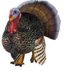 Turkey 242929
