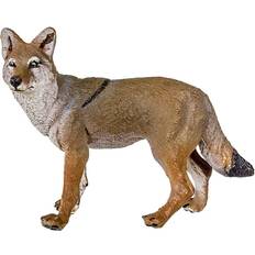 Coyote 227229