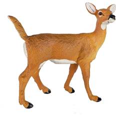 Whitetail Doe 180129