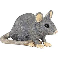House Mouse 50205