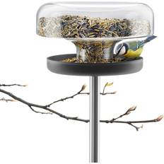Bird Feeder Table